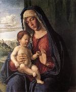 CIMA da Conegliano Madonna and Child dfhdt oil on canvas